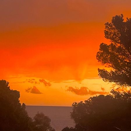 Maison Classee Sur Le Golfe De St Tropez Saint-Tropez Luaran gambar