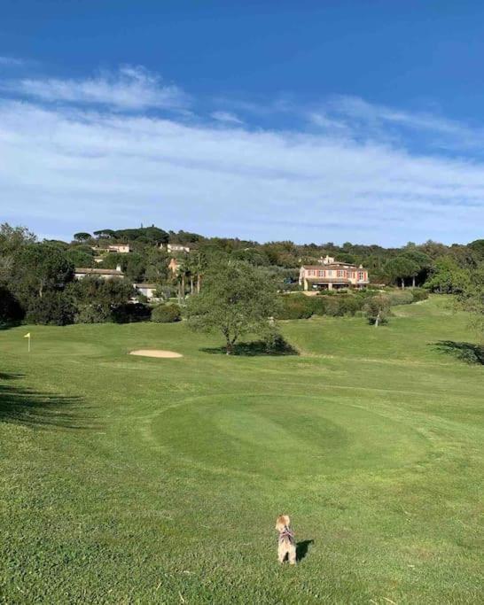 Maison Classee Sur Le Golfe De St Tropez Saint-Tropez Luaran gambar